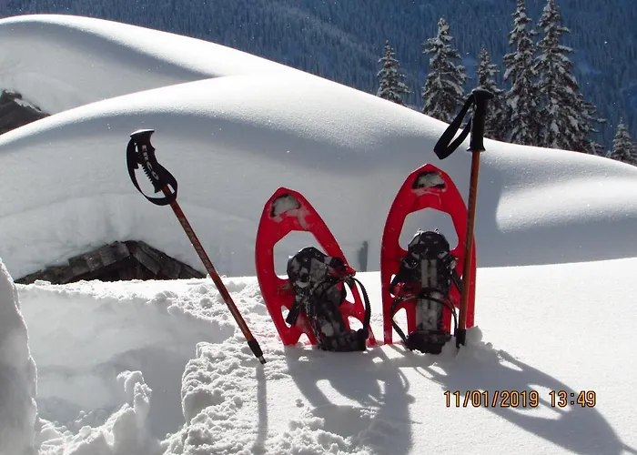 Hotel Al Torrente 3*